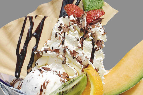 eis4_500.jpg