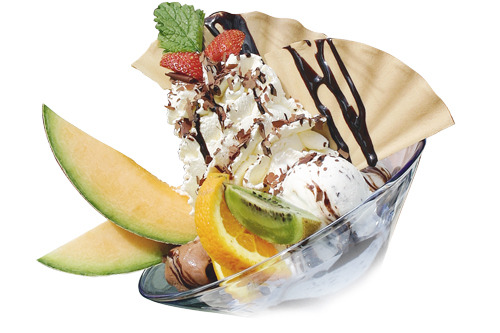 eis3_500.jpg